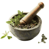 optimized_Ayurvedic